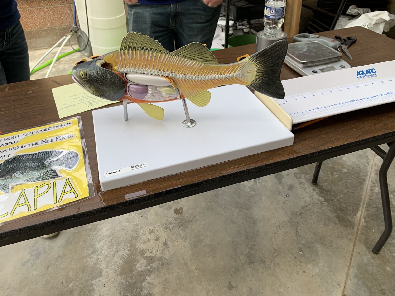 Badger High School's Ag Science Day featured several educational items, including a fish model